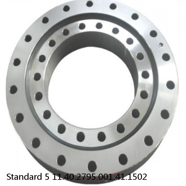 11.40.2795.001.41.1502 Standard 5 Slewing Ring Bearings