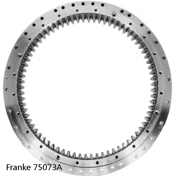 75073A Franke Slewing Ring Bearings