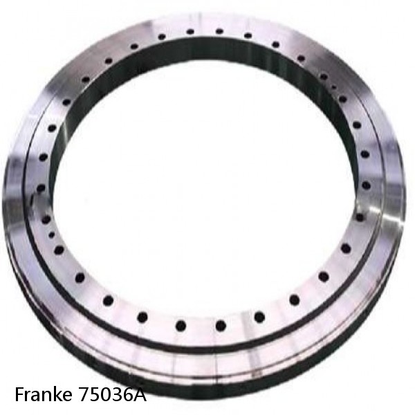 75036A Franke Slewing Ring Bearings