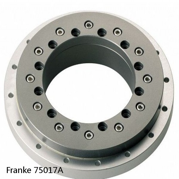 75017A Franke Slewing Ring Bearings