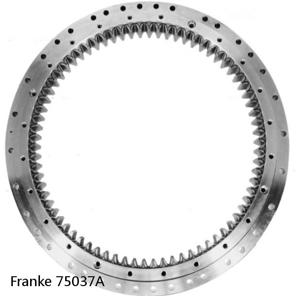 75037A Franke Slewing Ring Bearings