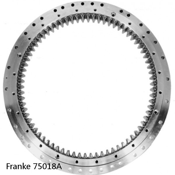 75018A Franke Slewing Ring Bearings