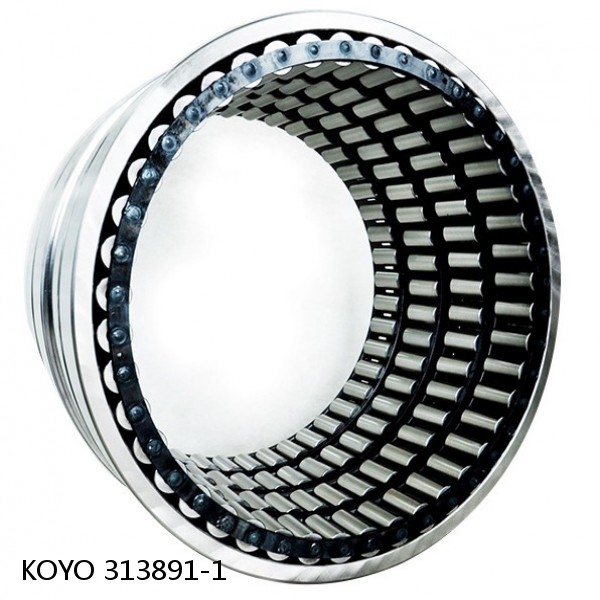 313891-1 KOYO Four-row cylindrical roller bearings