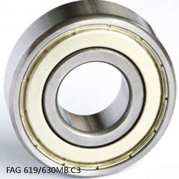 619/630MB.C3 FAG Deep Groove Ball Bearings