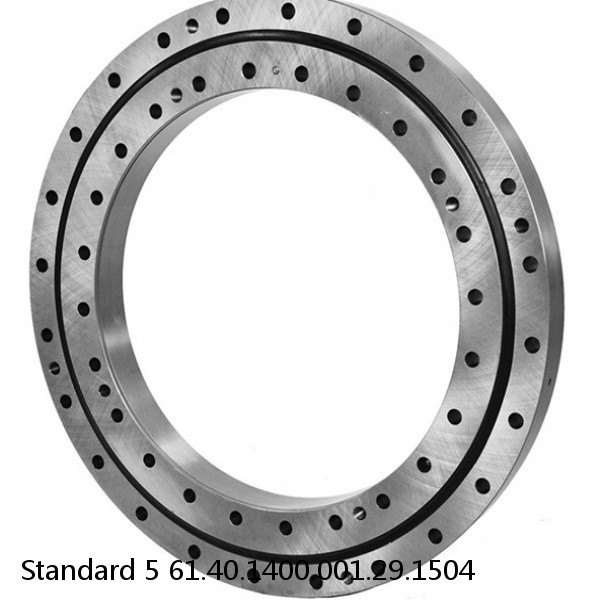 61.40.1400.001.29.1504 Standard 5 Slewing Ring Bearings