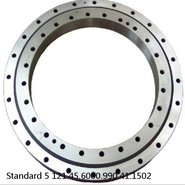 121.45.6000.990.41.1502 Standard 5 Slewing Ring Bearings