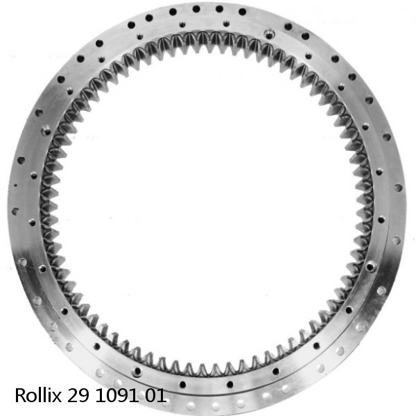 29 1091 01 Rollix Slewing Ring Bearings