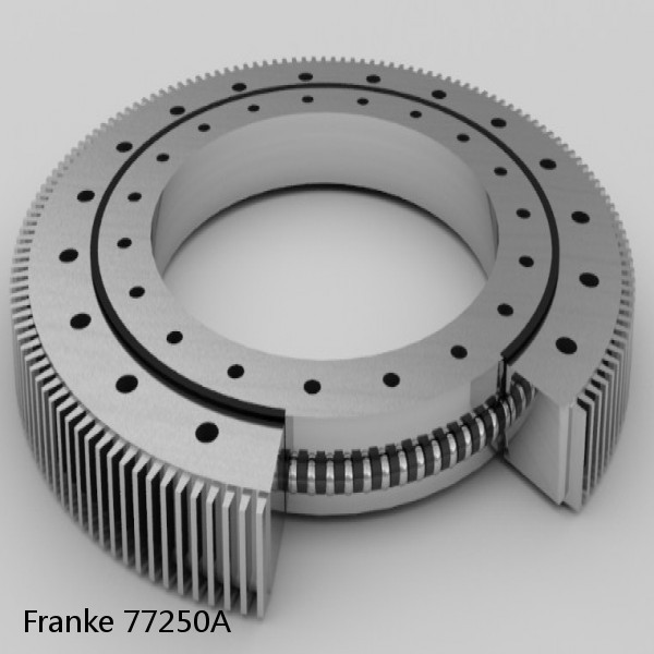 77250A Franke Slewing Ring Bearings