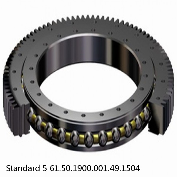 61.50.1900.001.49.1504 Standard 5 Slewing Ring Bearings