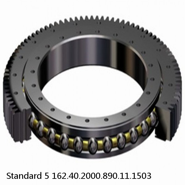 162.40.2000.890.11.1503 Standard 5 Slewing Ring Bearings