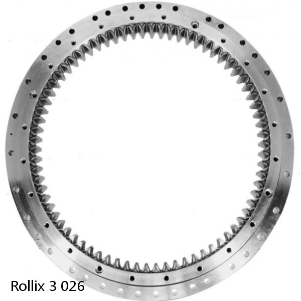 3 026 Rollix Slewing Ring Bearings