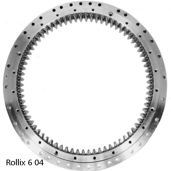 6 04 Rollix Slewing Ring Bearings