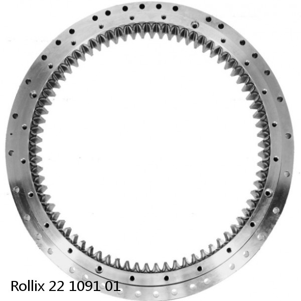 22 1091 01 Rollix Slewing Ring Bearings