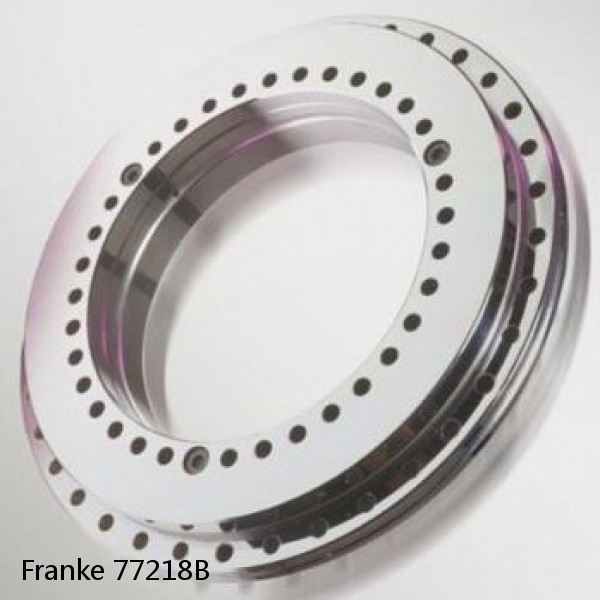 77218B Franke Slewing Ring Bearings