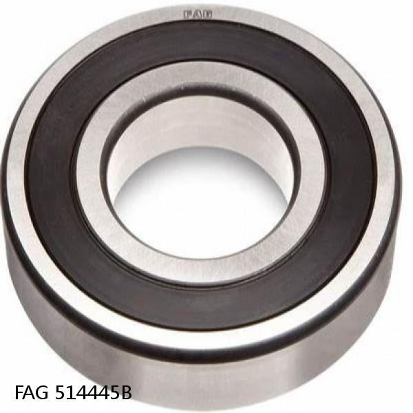 514445B FAG Cylindrical Roller Bearings